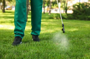 От 14 до 22 април продължават наземните пръскания срещу кърлежи и в малките населени места от общината