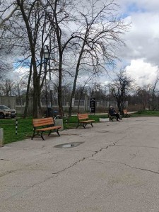 Залесяват Гребната база в Пловдив с близо 200 чинара