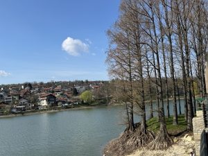 Започва третиране срещу ларви на комари на 27 април