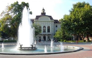 Заради валежите се затваря за движение кръстовище в „Южен“