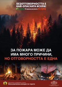 Изпълнителна агенция по горите | Новини