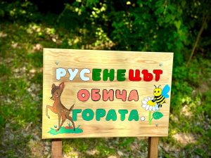 Инициатива на Община Русе превърна ученически идеи в послания към природата