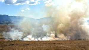 Въведоха забрана за обработка на пасища в Старозагорско