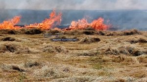 Трактор изгоря в пожар край Българска поляна
