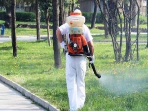Пръскат срещу комари в Пловдив, ето график до края на август