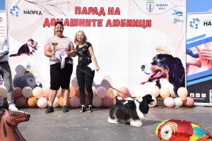 Второто издание на „Парад на домашния любимец“ събира опашати чаровници в Русе на 27 септември